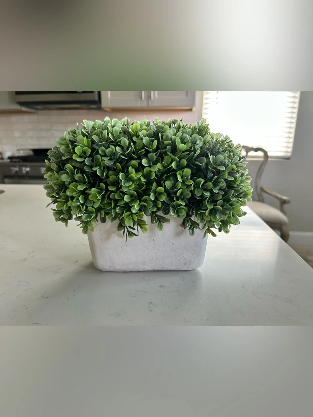 Faux boxwood plant in heavy planter